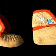 Cover image of Miniature Moccasins